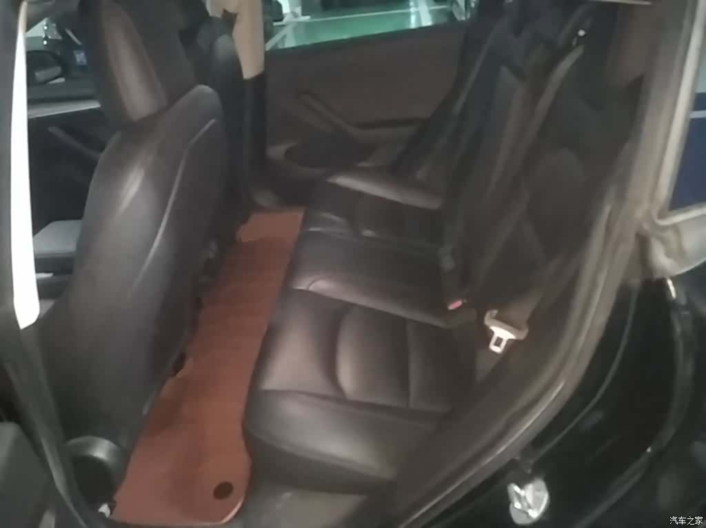 Model 3, 2021 17