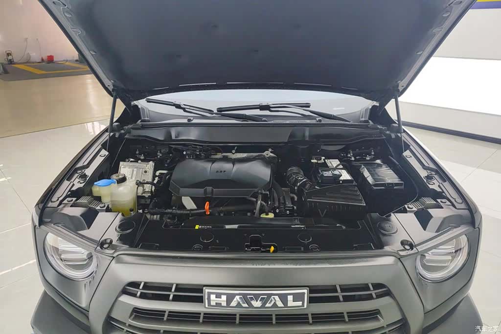 Haval Big Dog, 2024 10