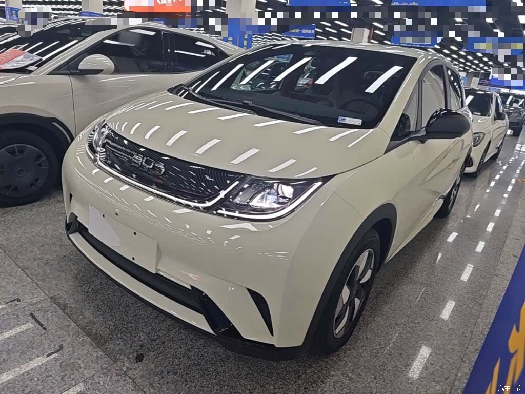 BYD Dolphin, 2024 2