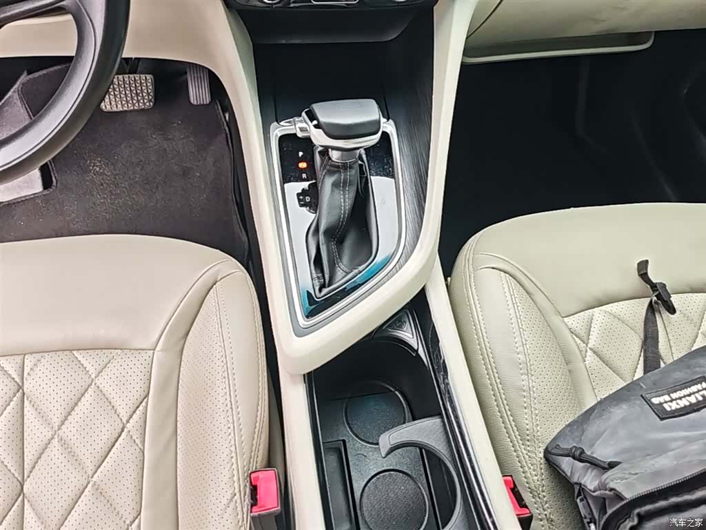 Buick GL6, 2018 13