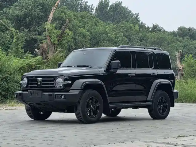 Tank 300 2024 — купить из Китая под заказ