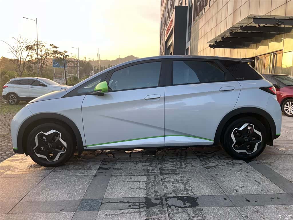 BYD Dolphin, 2021 3