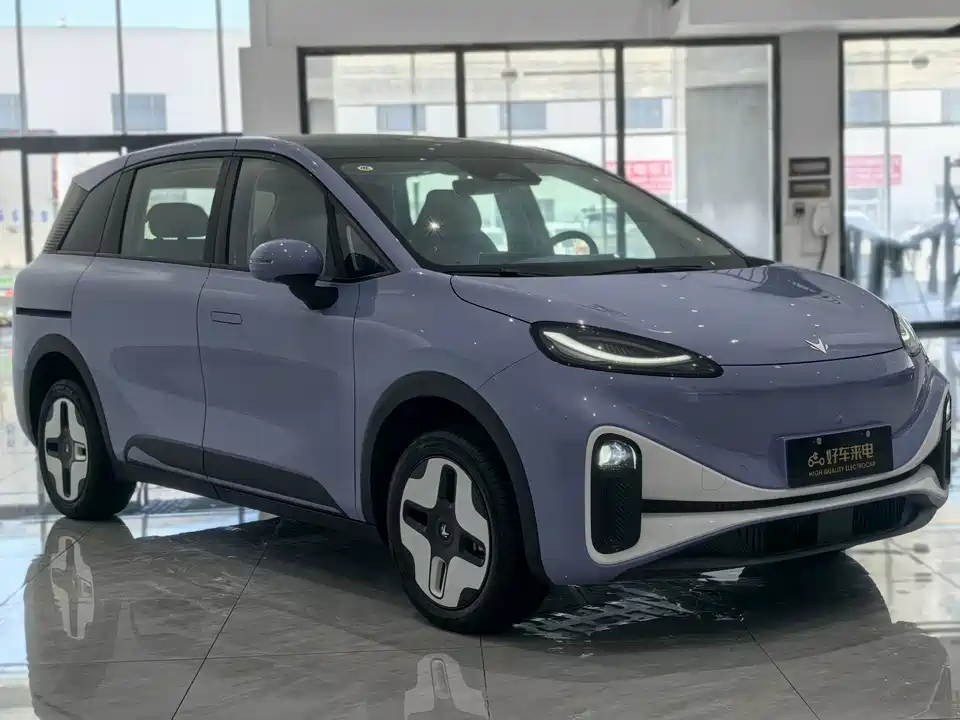 ARCFOX Polar fox koala