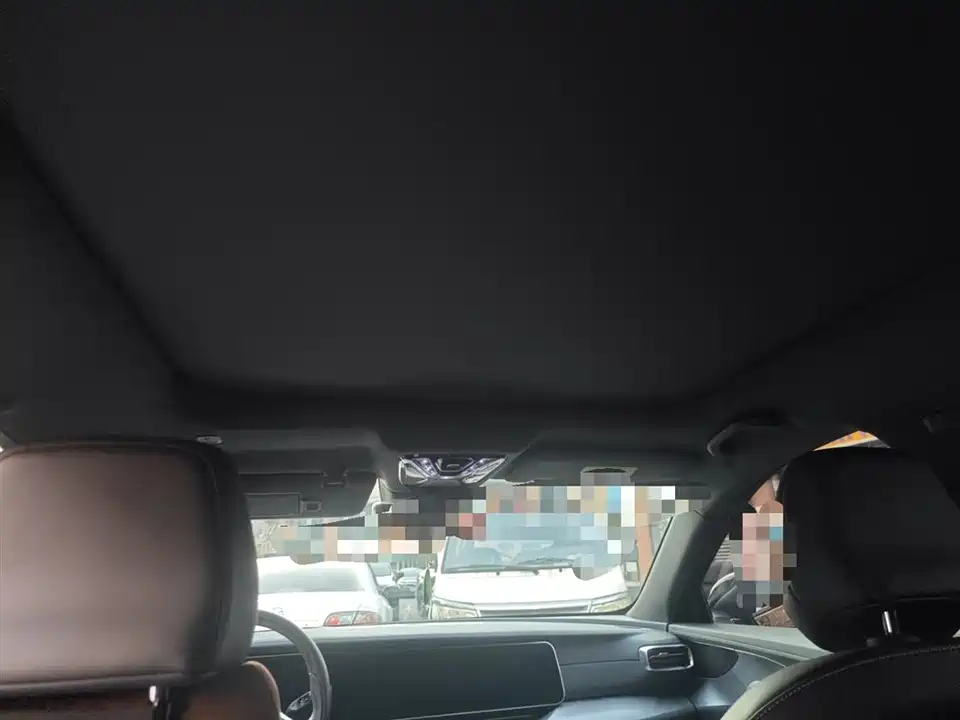 ARCFOX Polar Fox Alpha S