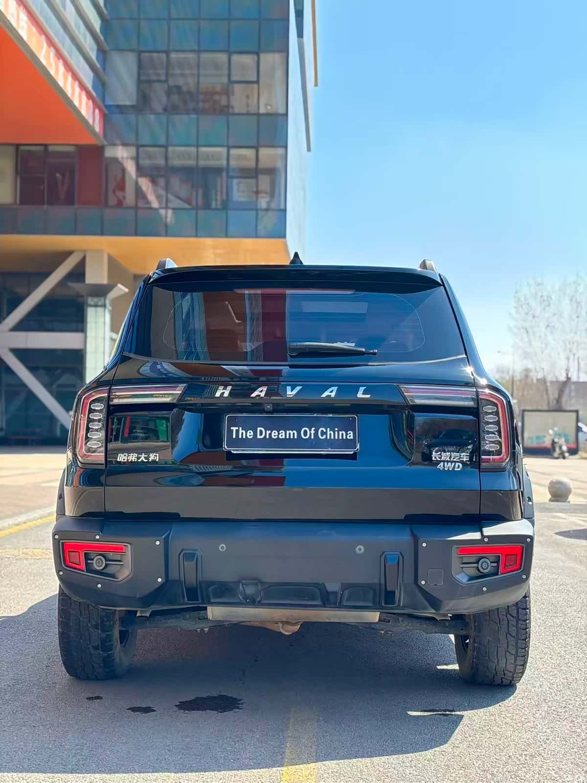 Haval Big Dog, 2022 8
