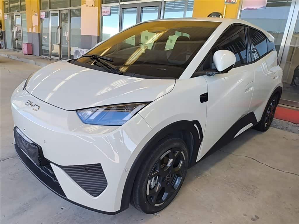 BYD Seagull