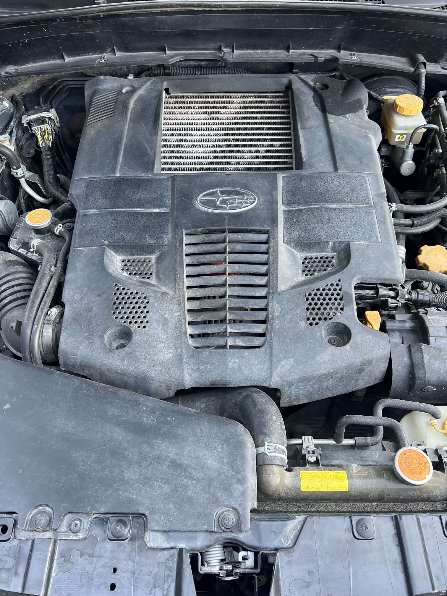 Subaru Forester, 2010 16