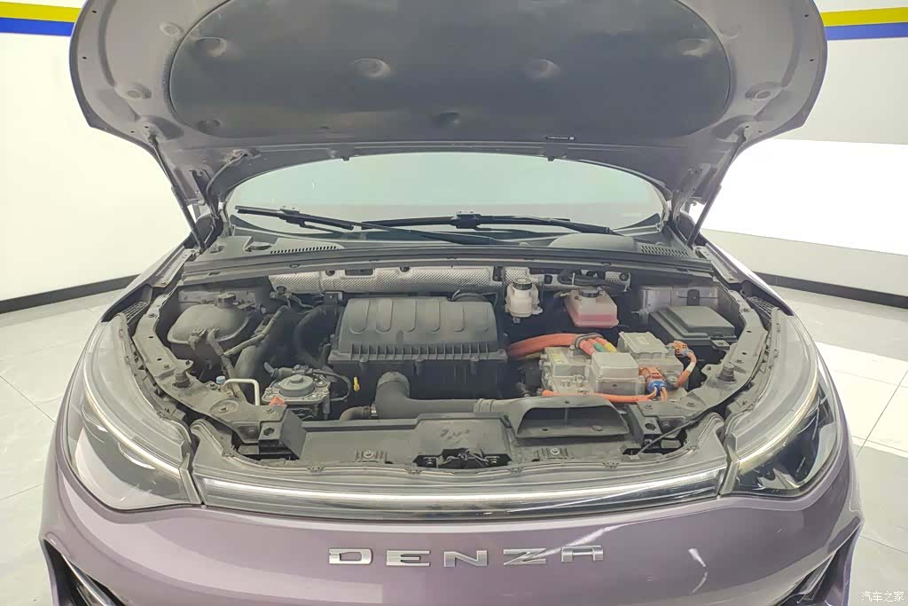 Denza X, 2020 10