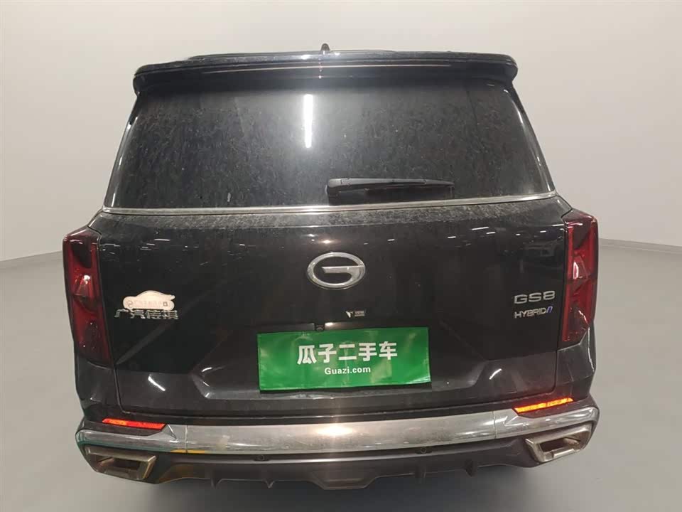 Trumpchi Trumpchi GS8