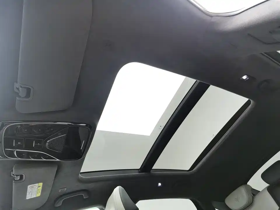 ARCFOX Polar Fox Alpha S