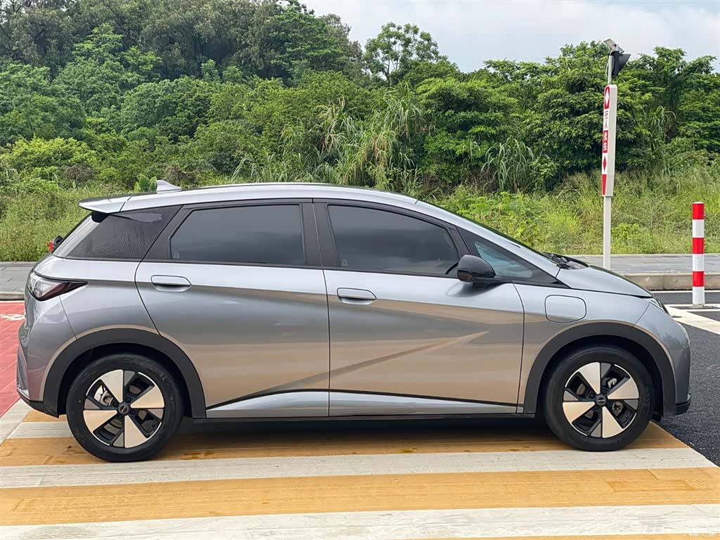 BYD Dolphin, 2024 12