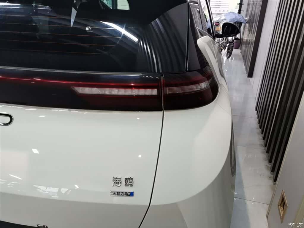 BYD Seagull, 2025 8