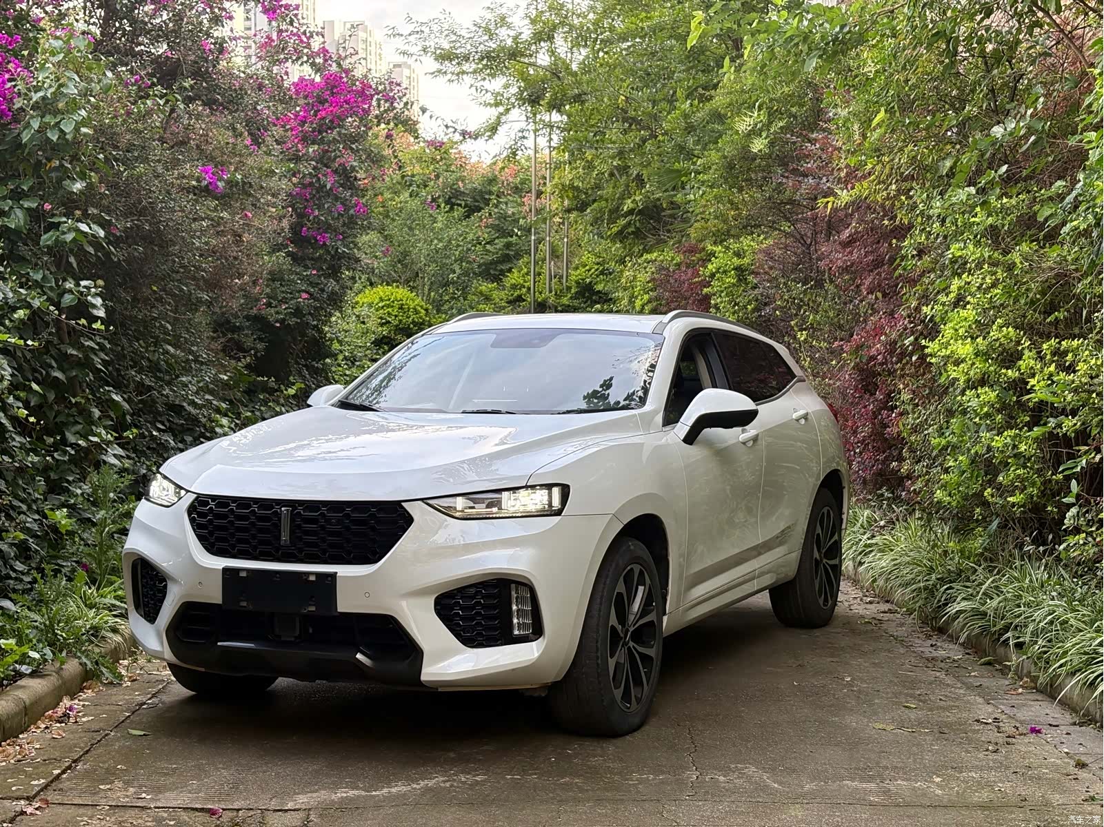 WEY VV7, 2017 1