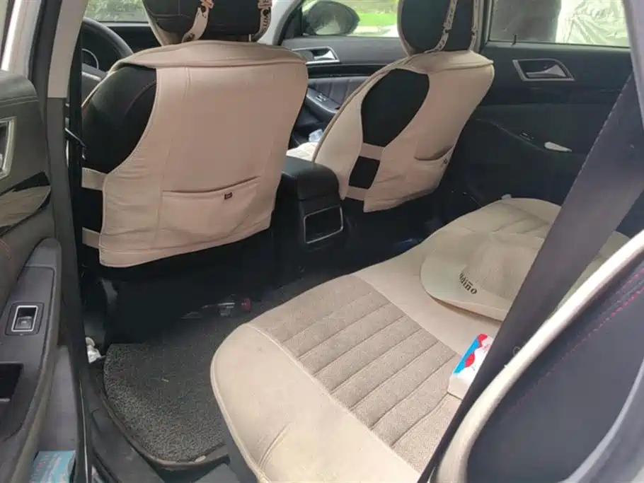 Leopaard Cheetah CS10