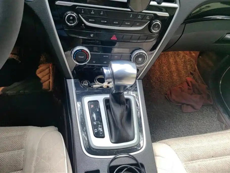 Leopaard Cheetah CS10