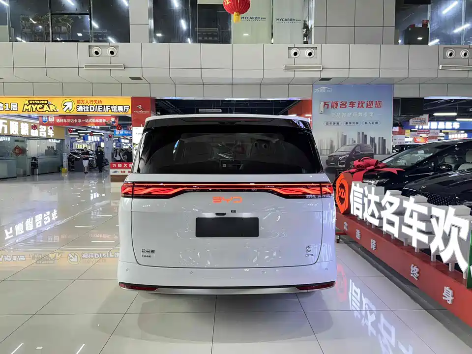 BYD summer BYD summer