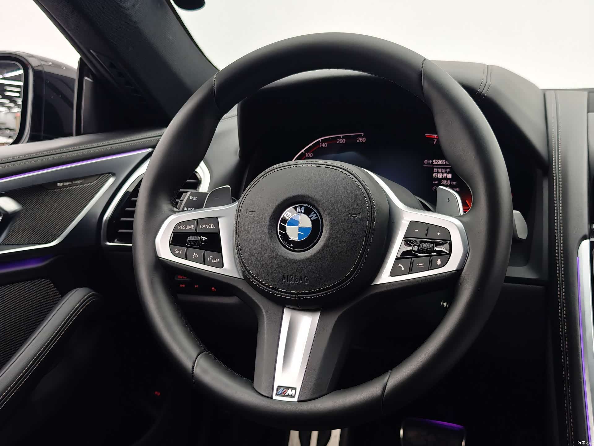 BMW 8 Series, 2020 18