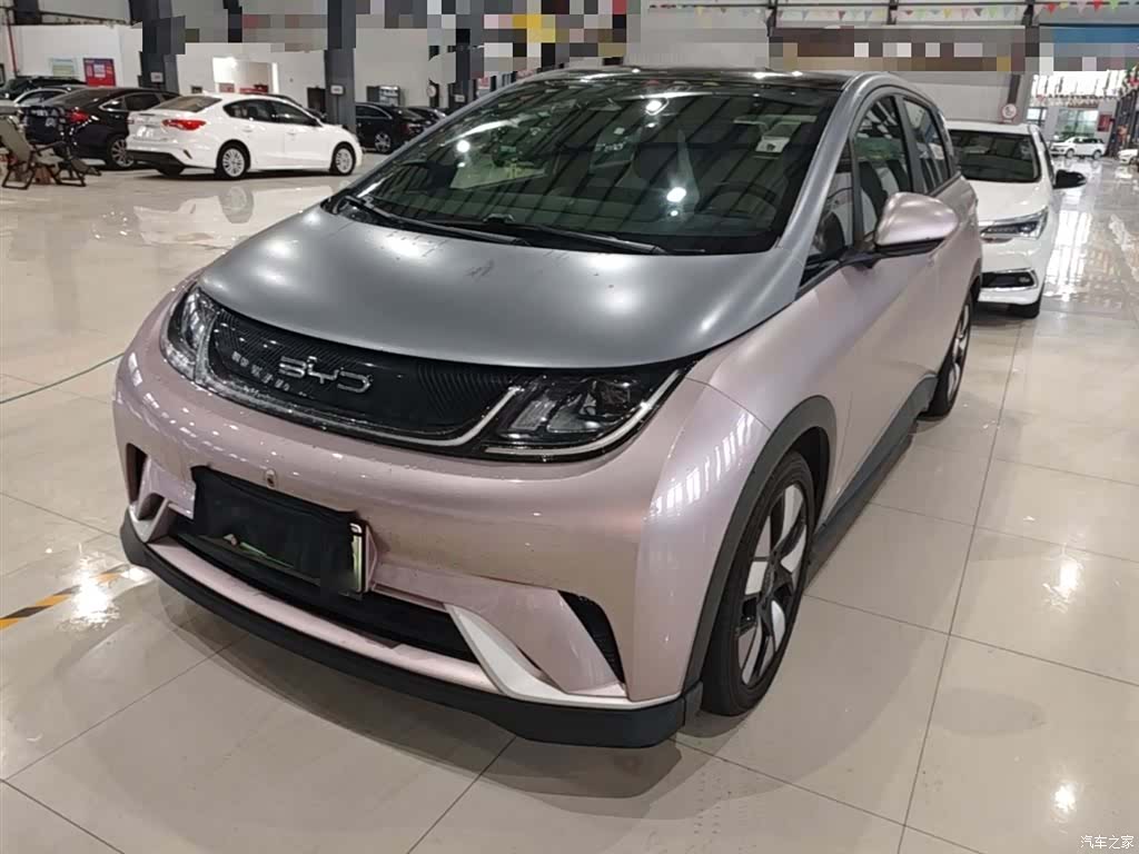 BYD Dolphin, 2022 1