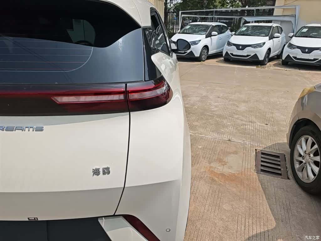 BYD Seagull, 2024 24