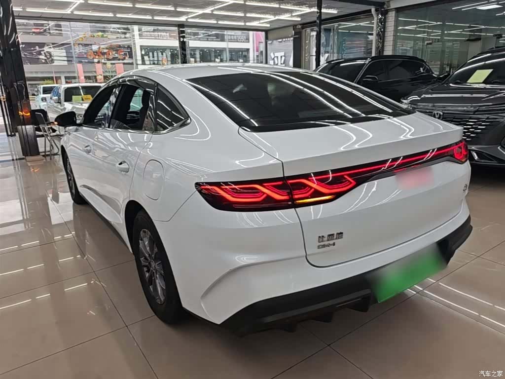 BYD Qin, 2025 все фото