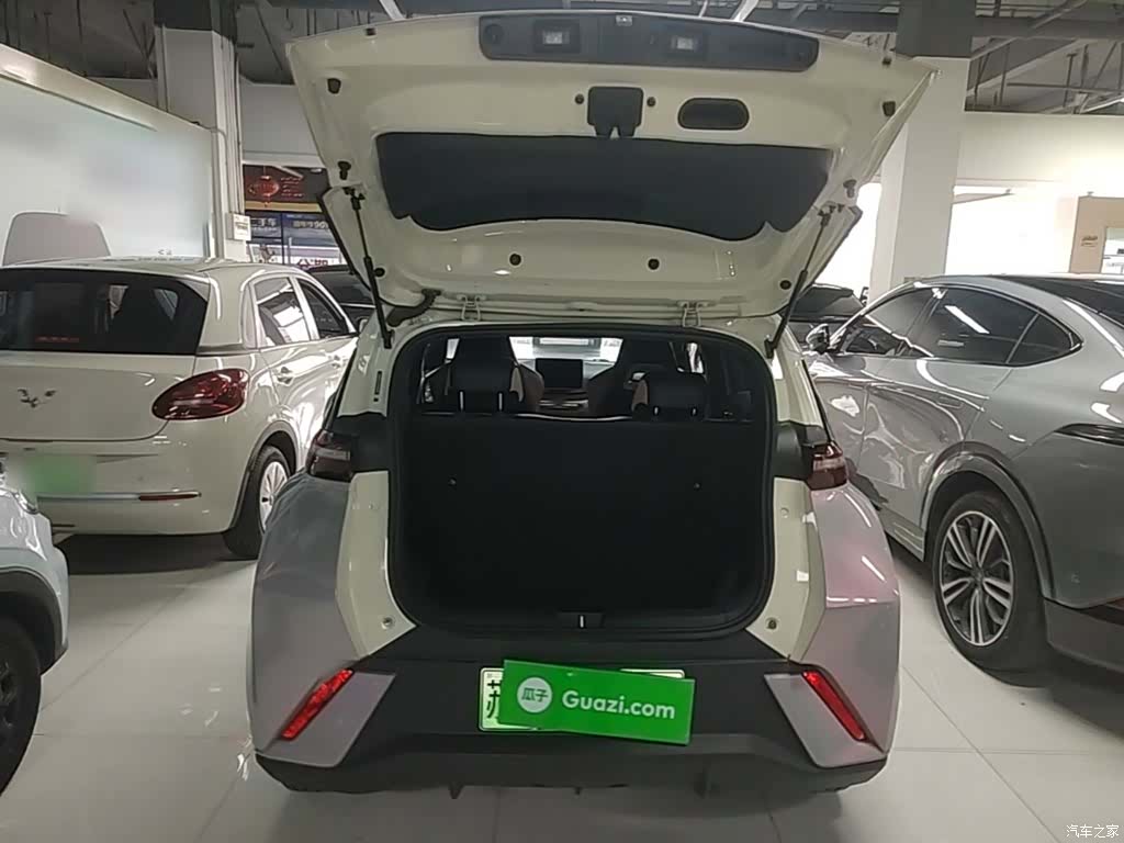 BYD Seagull, 2024 19
