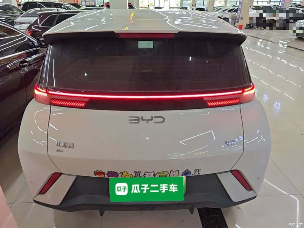 BYD Seagull, 2024 6