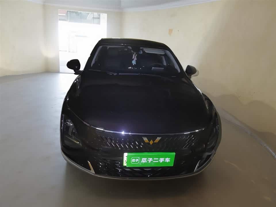 Wuling Wuling Starlight