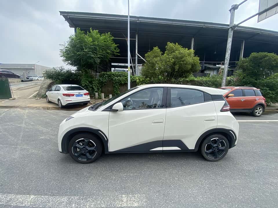 BYD Seagull