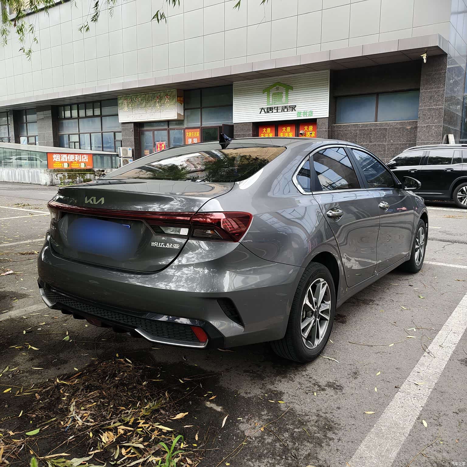 Kia K3, 2023 12
