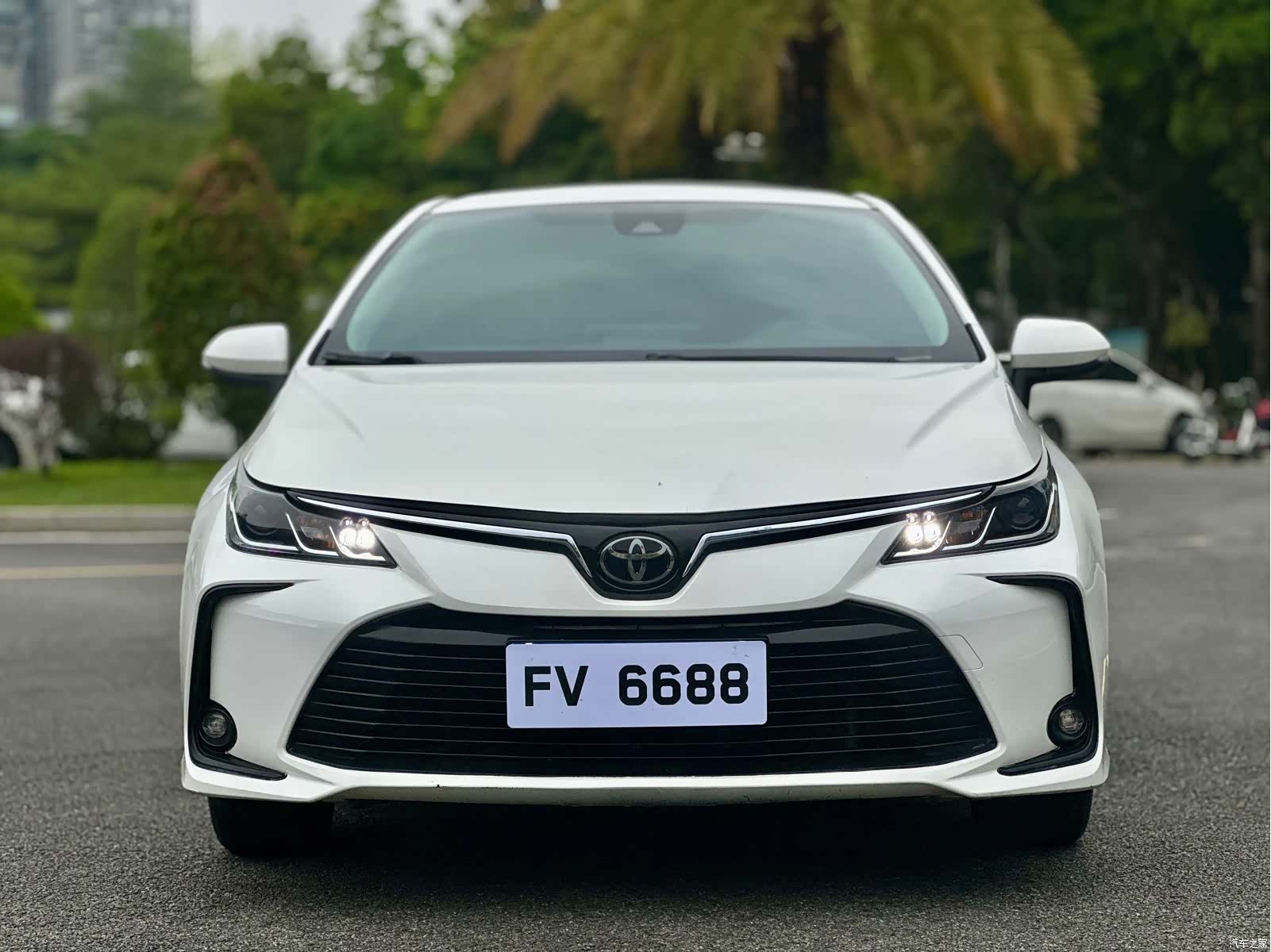 Toyota Corolla, 2019 2