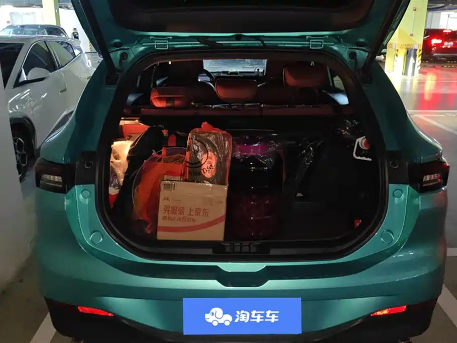 Forthing Popular T5 EVO