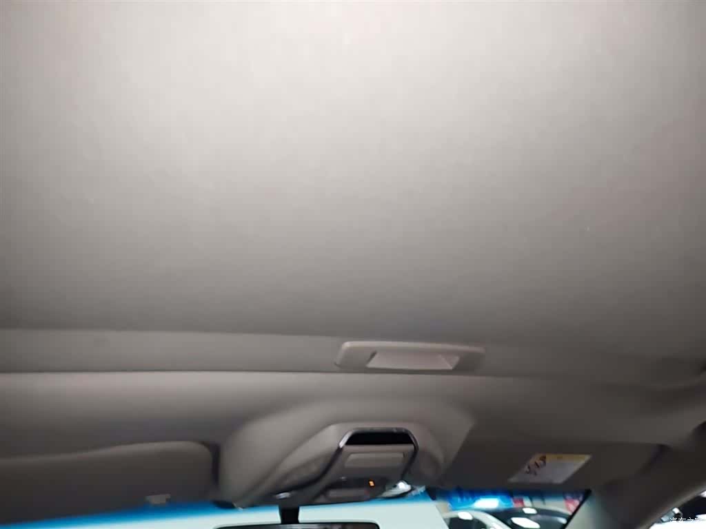 Geely Binray, 2020 18