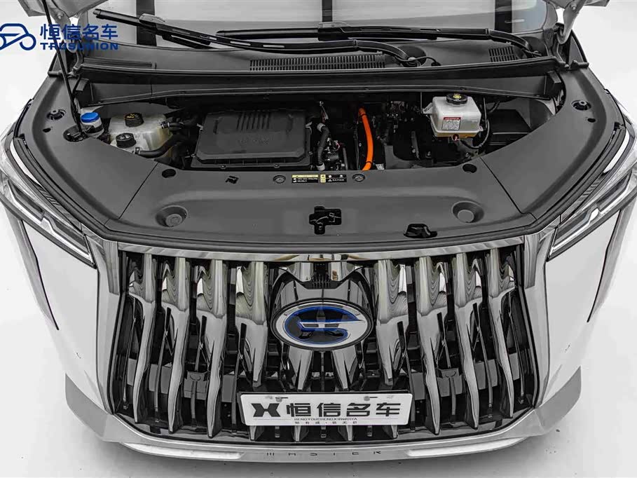 Trumpchi Trumpchi M8 Trumpchi Trumpchi M8
