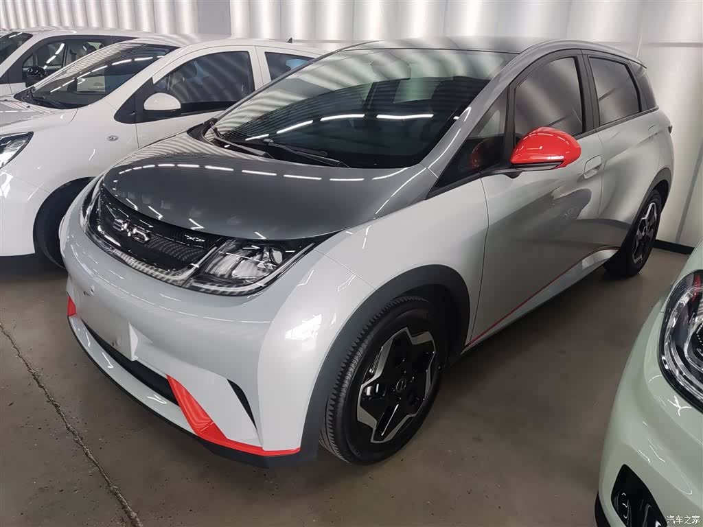 BYD Dolphin, 2021 1