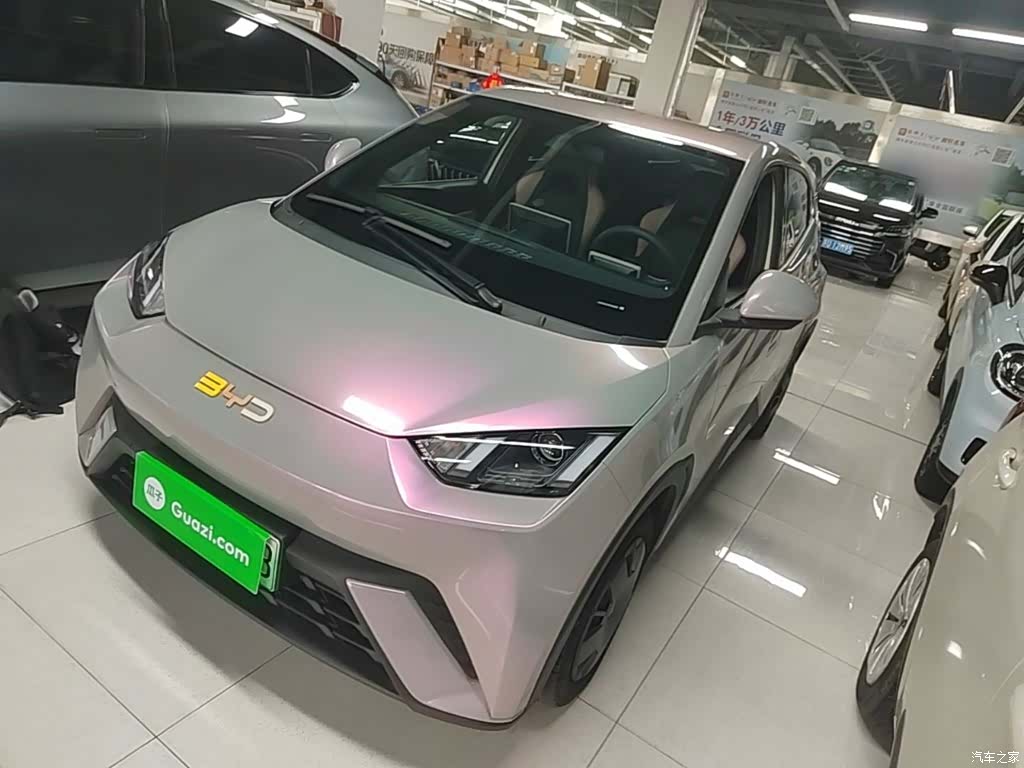 BYD Seagull, 2024 1
