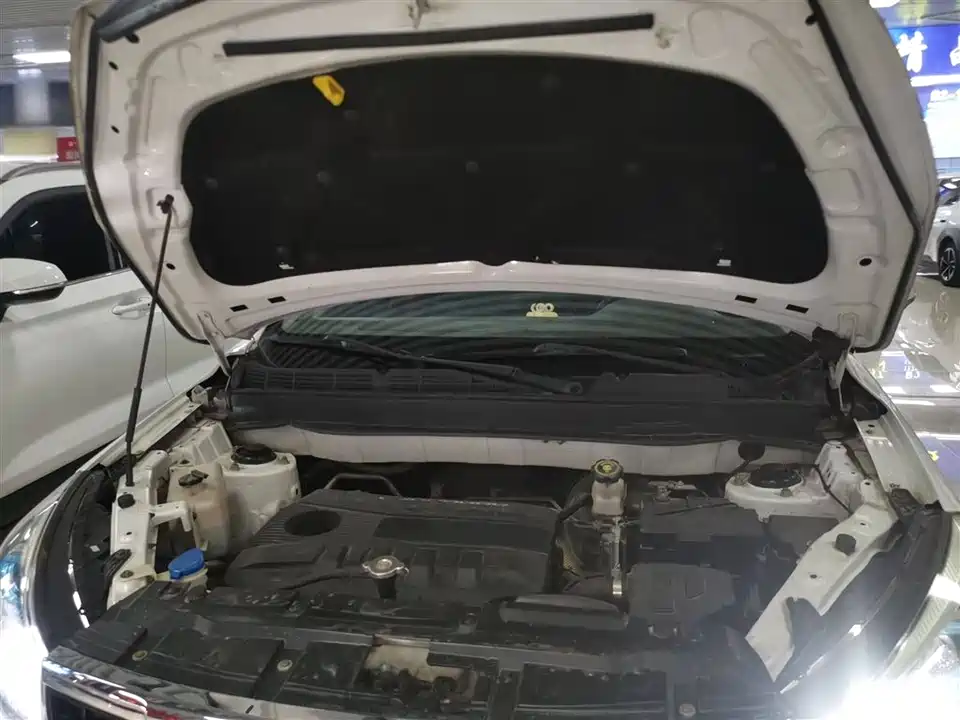 Leopaard Cheetah CS9