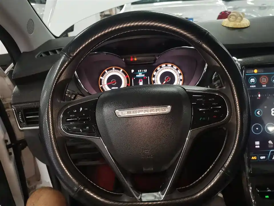 Leopaard Cheetah CS9