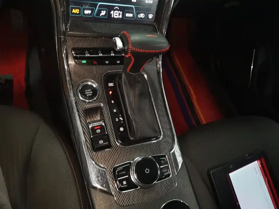 Leopaard Cheetah CS9