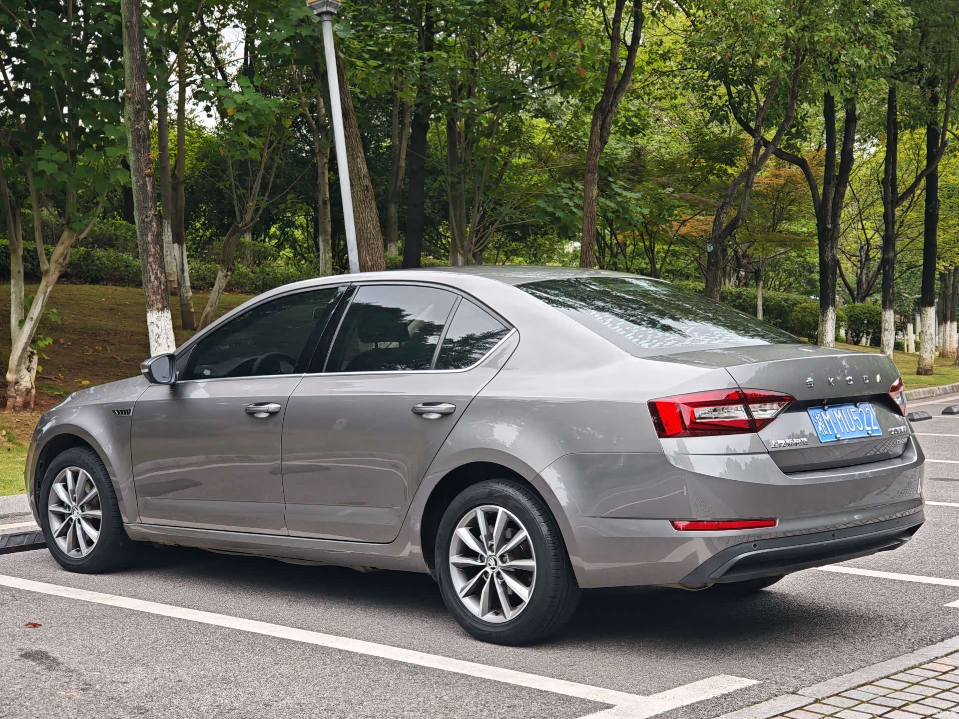 Skoda Octavia, 2019 6
