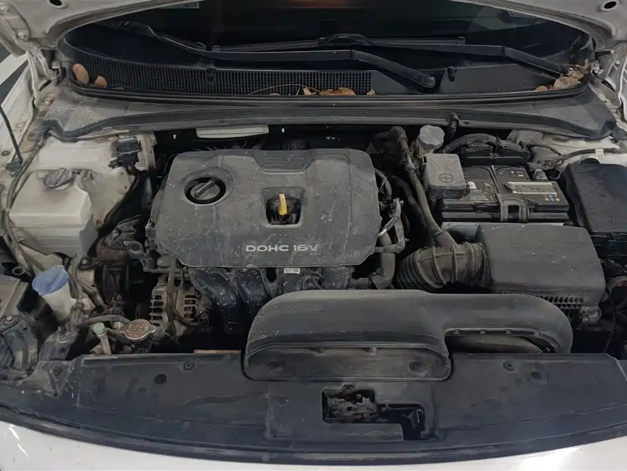 Hyundai Name picture