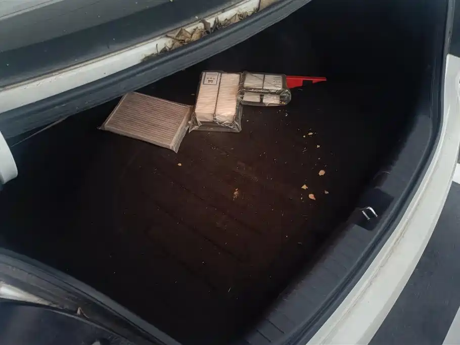 Hyundai Name picture