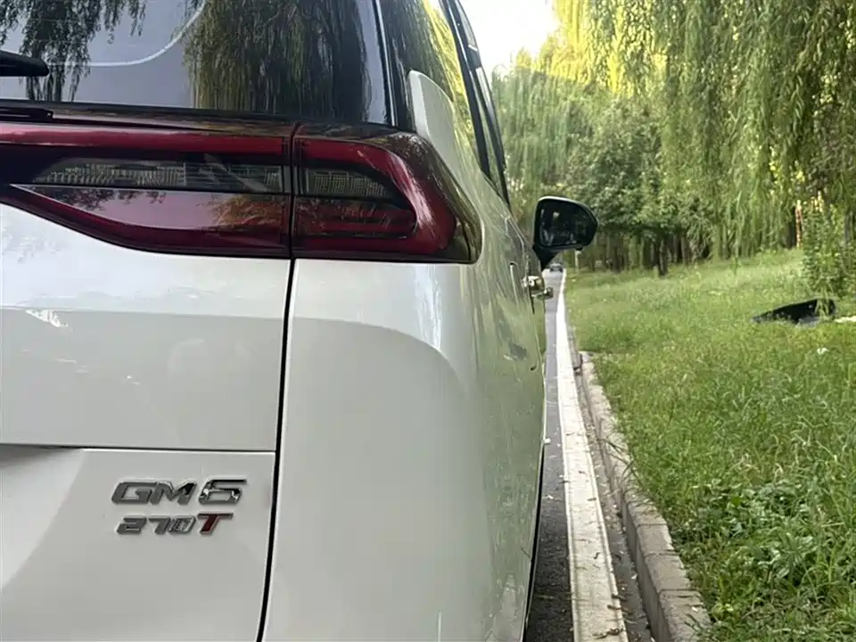 Trumpchi Trumpchi M6