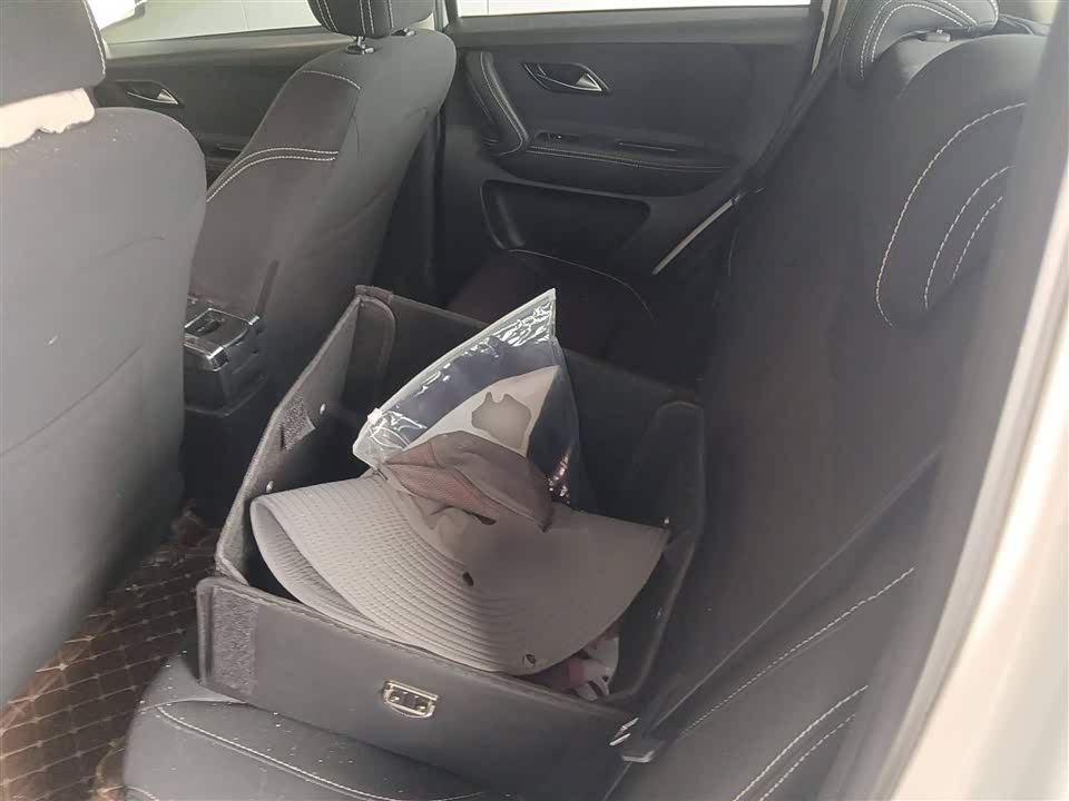 JAC JAC iEV6E