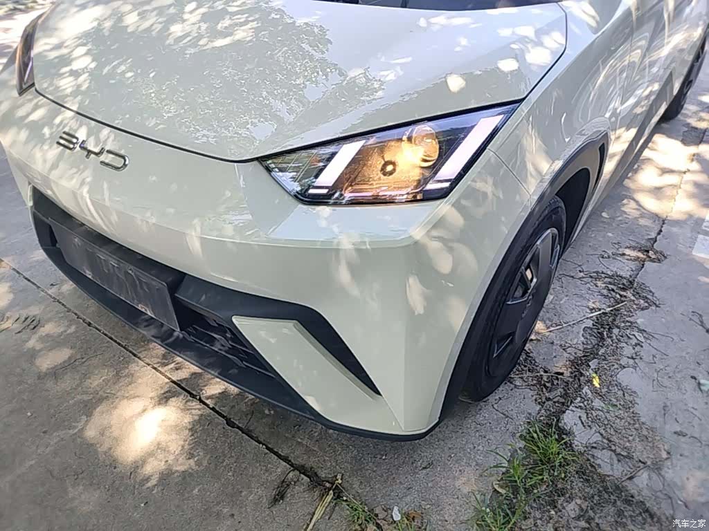 BYD Seagull, 2024 24