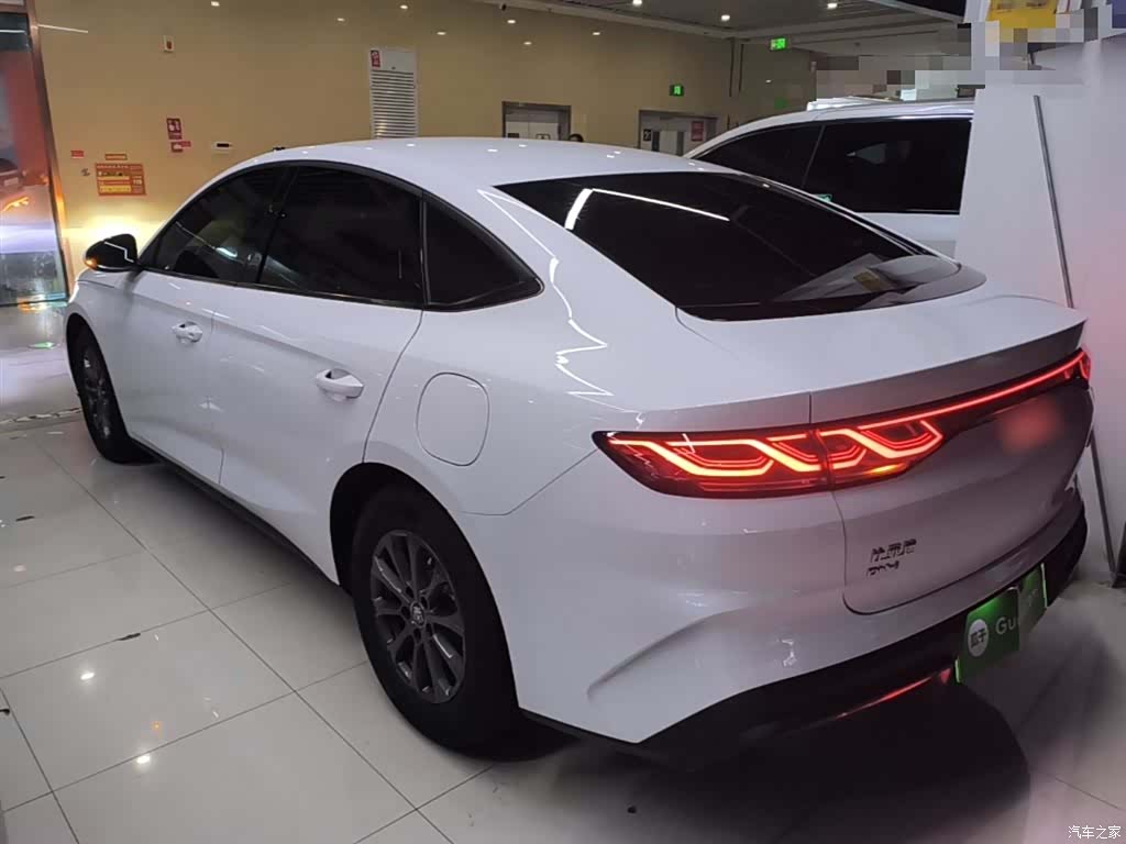 BYD Qin, 2025 все фото