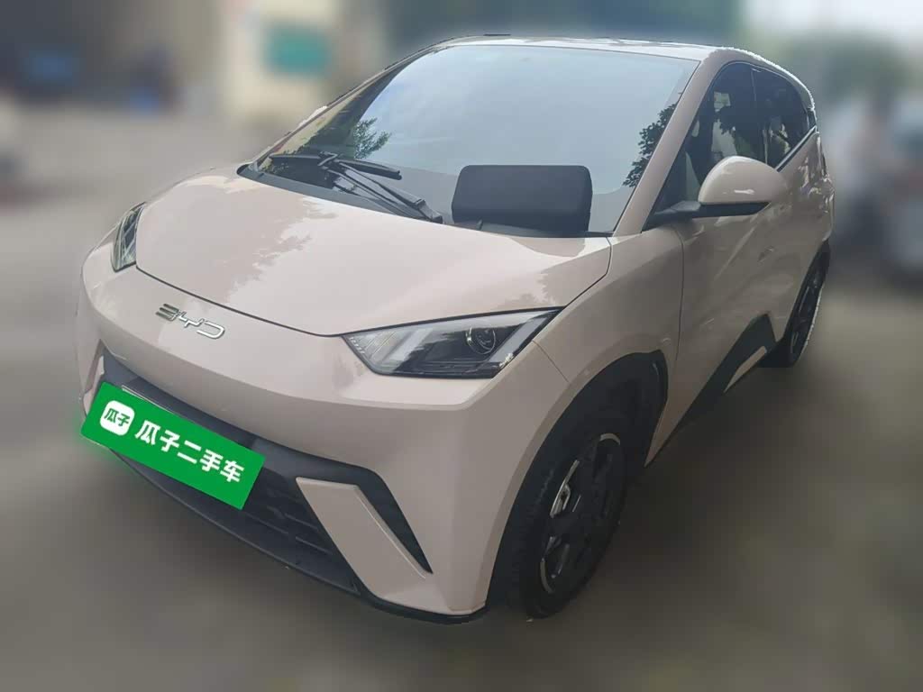 BYD Seagull