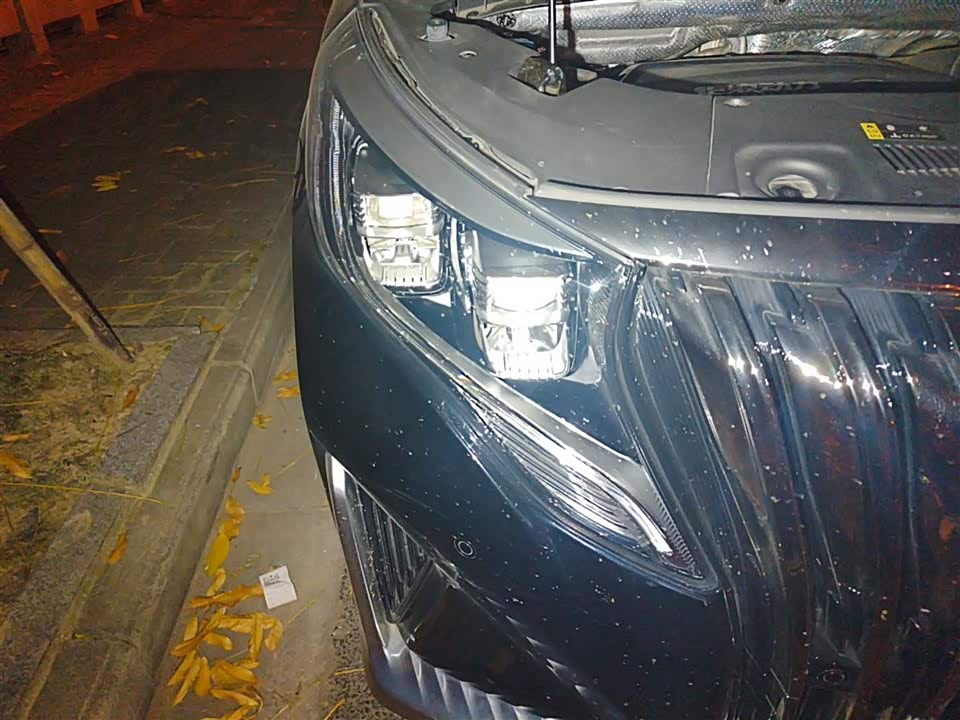 Trumpchi Trumpchi M8