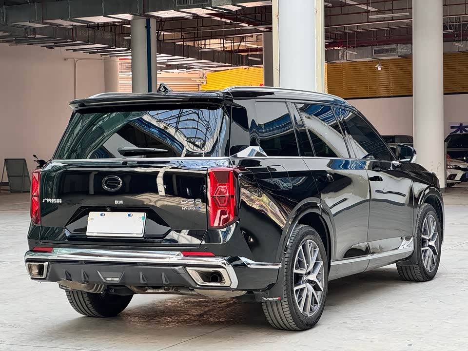 Trumpchi Trumpchi GS8