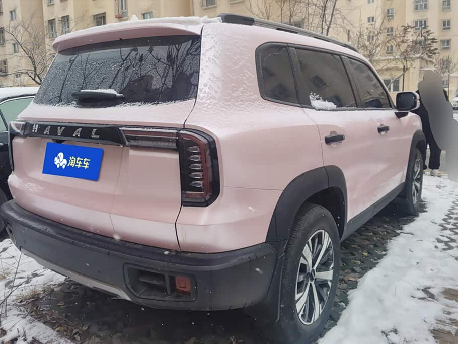 Haval Big dog