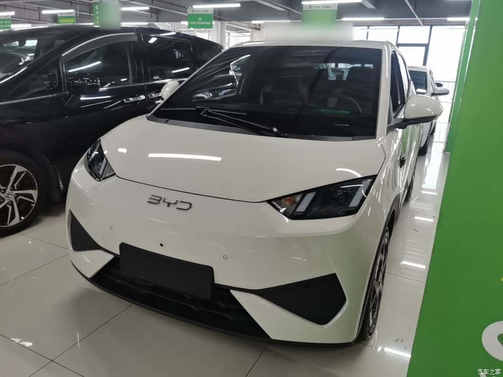 BYD Seagull, 2025 2
